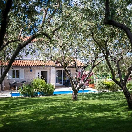 Villa Casa Di Oliva Brtonigla Exterior foto